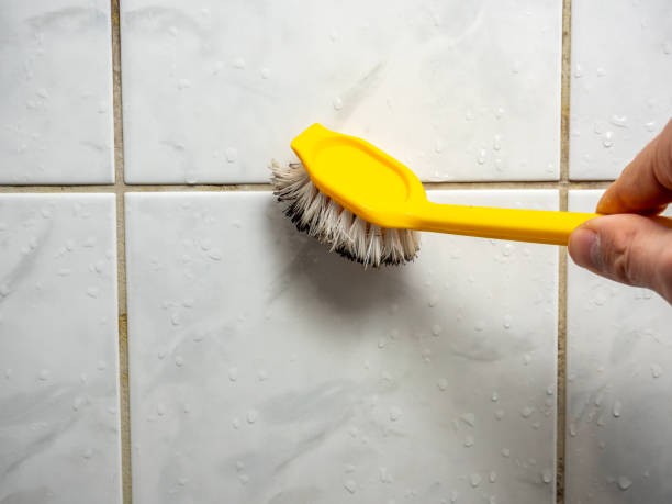 Best Toxic Mold Removal  in Three Lakes, FL