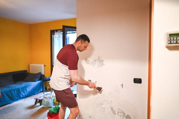 Best Certified Mold Removal  in Three Lakes, FL